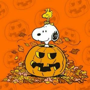 Meet your Posher, Tonia